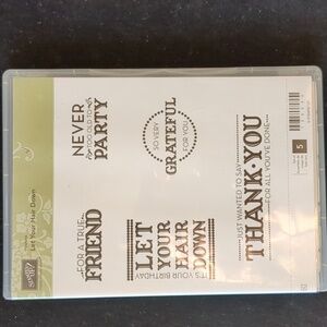 Let Your Hair Down Stampin Up stamp set